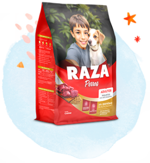 Raza perro razas pequeñas carne x 1,5kg