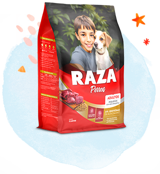Raza perro razas pequeñas carne x 1,5kg