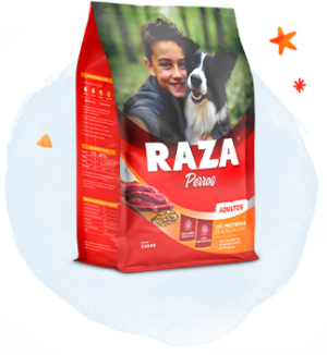 Raza perro adulto carne x 20kg