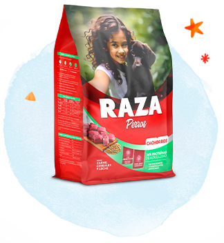 Raza perro cachorro carne, cereales y leche x 15kg