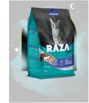 Raza gato pescado x 10kg