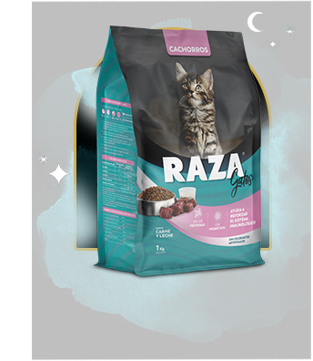 Raza gato cachorro carne y leche x 8kg